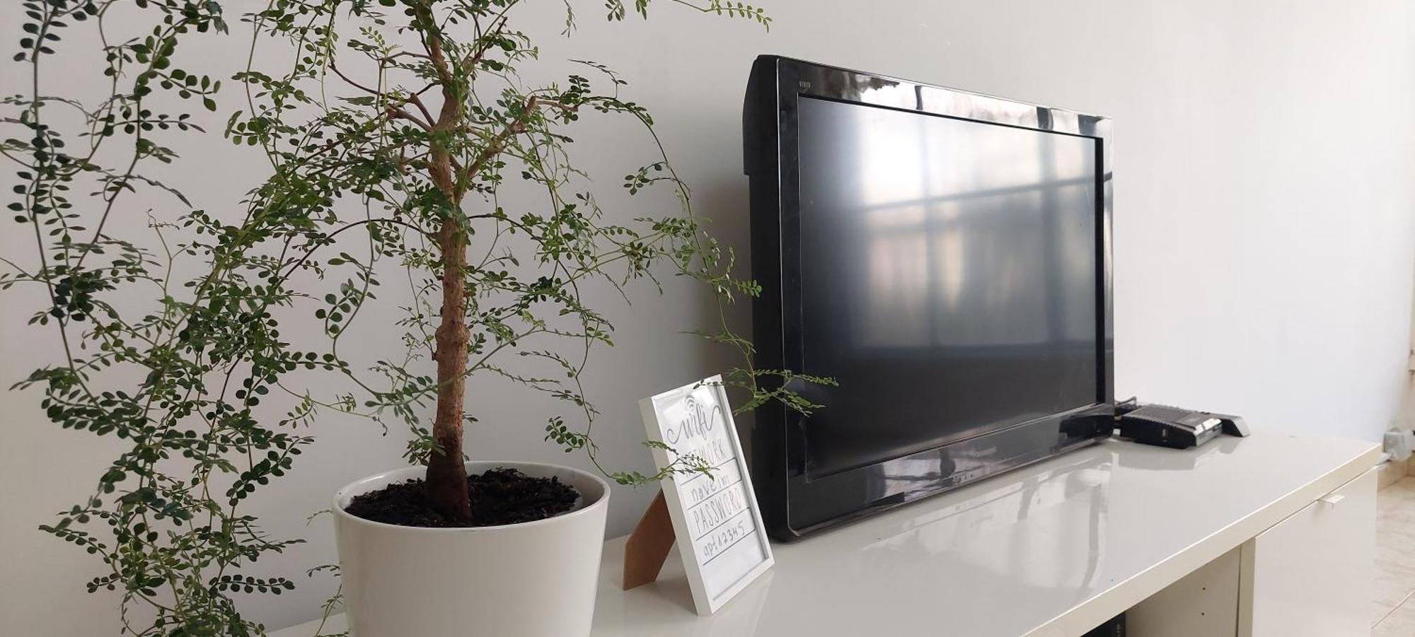 הנביאים 1 נתניה Naveim Apartment 外观 照片